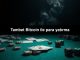 Tambet Bitcoin