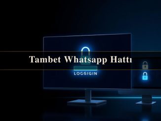 Tambet Whatsapp